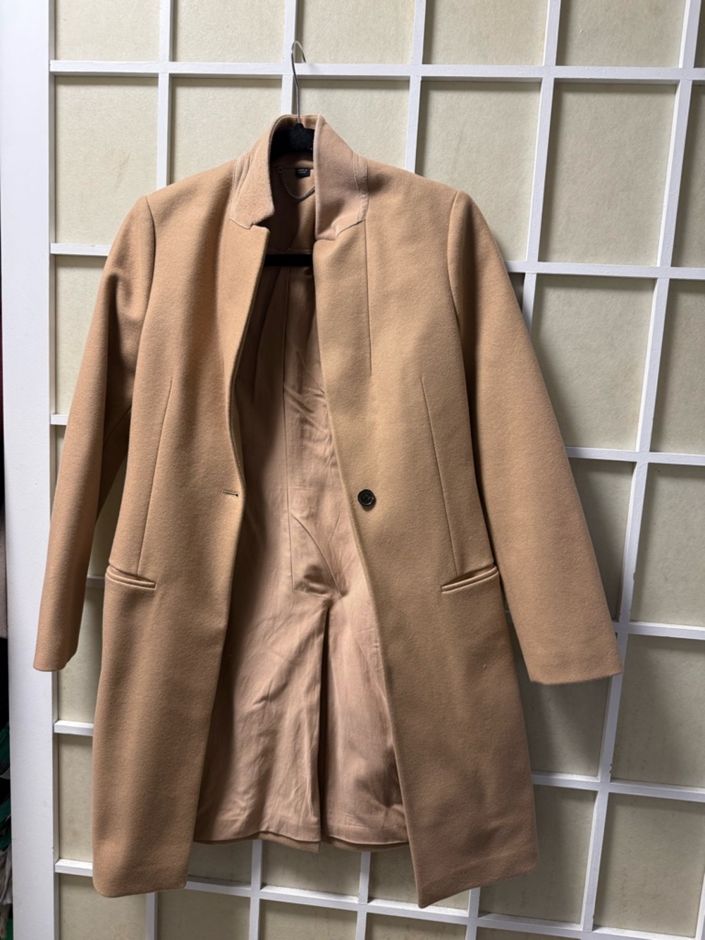 AllSaints Leni Coat